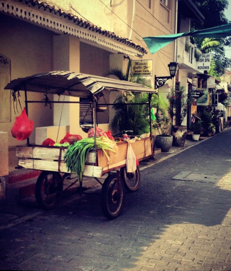 Galle1